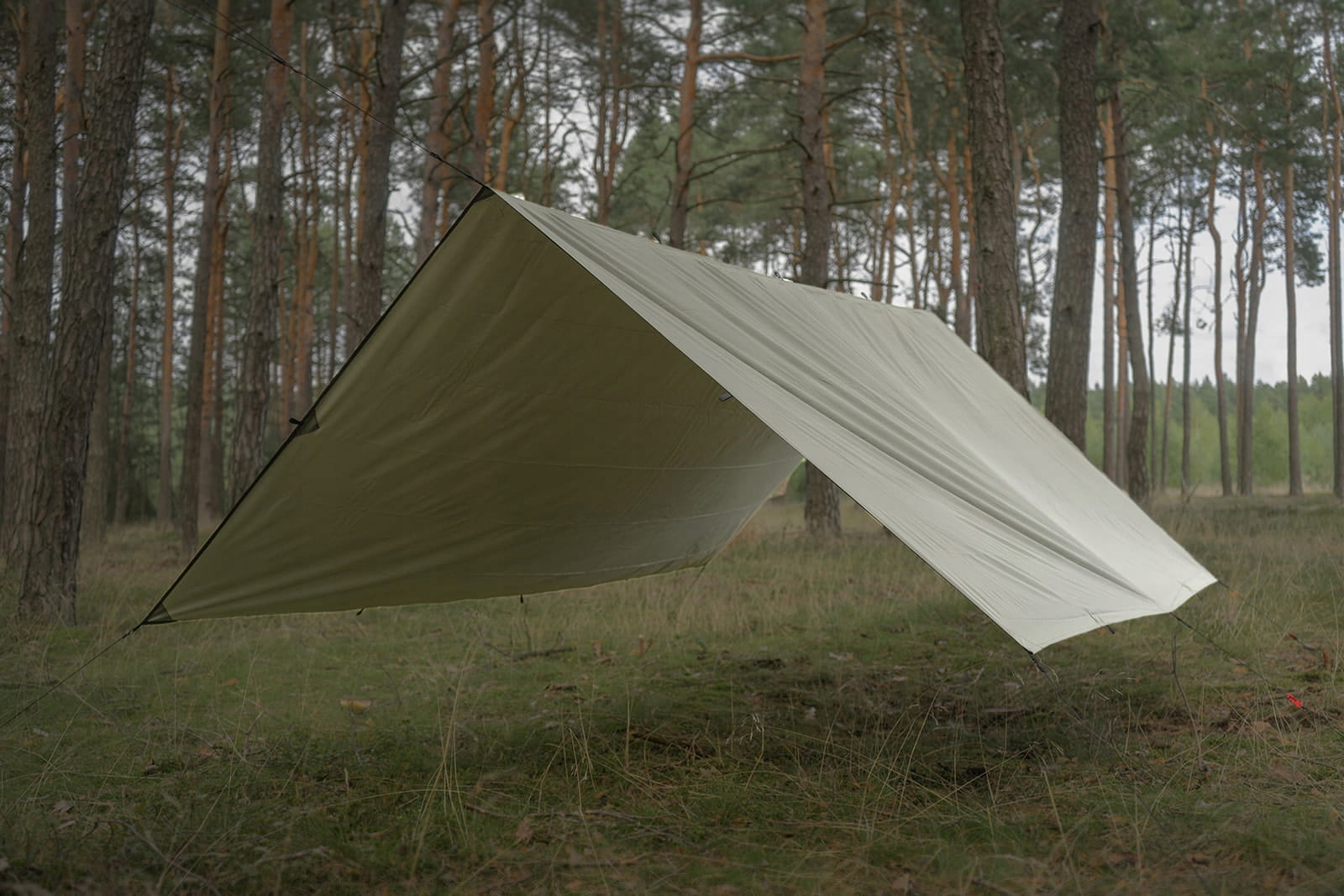 TigerWood Termo Tarp 3×4 m Olive