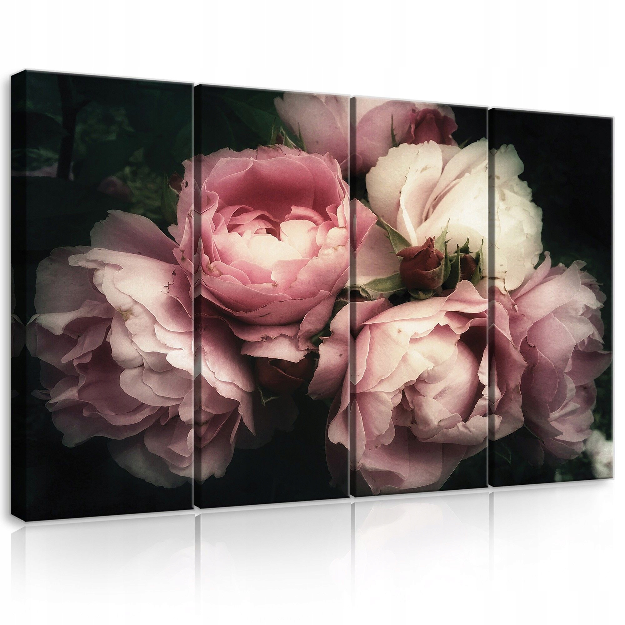 Obraz 120x80 Ružové pivonky tmavé pozadie kvety mŕtva príroda romantický