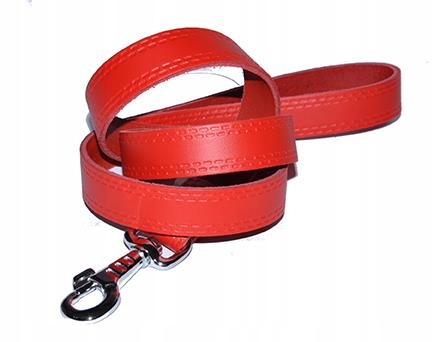 

Dino Smycz Skórzana Dla Psa 25MM/120CM