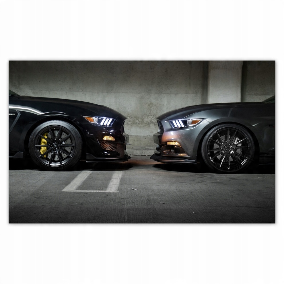 

Fototapety flizelina 416x254 Ford Mustang