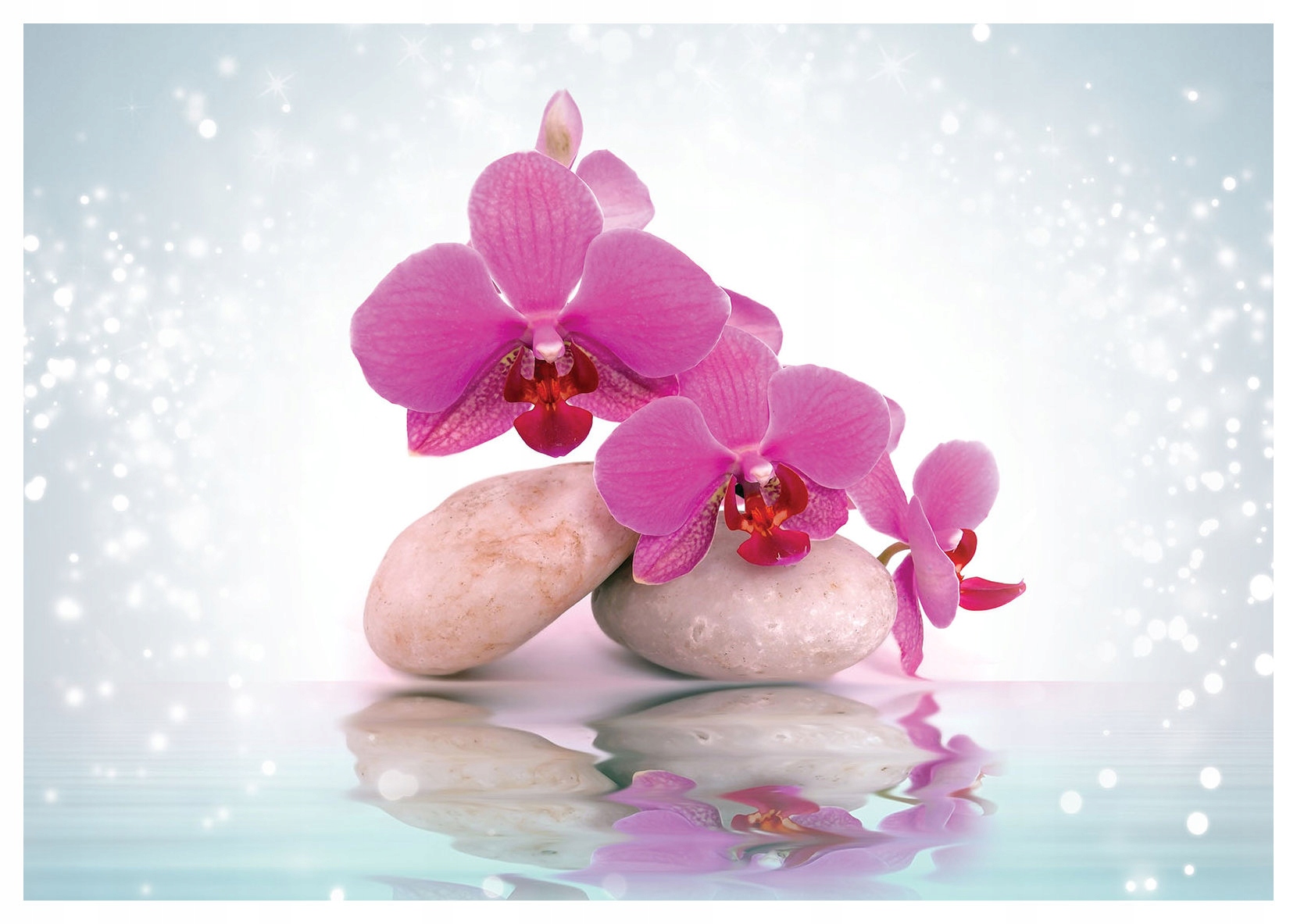 Vliesová fototapeta Orchideje a kameny Harmonie a relaxace 312x219 lepidlo