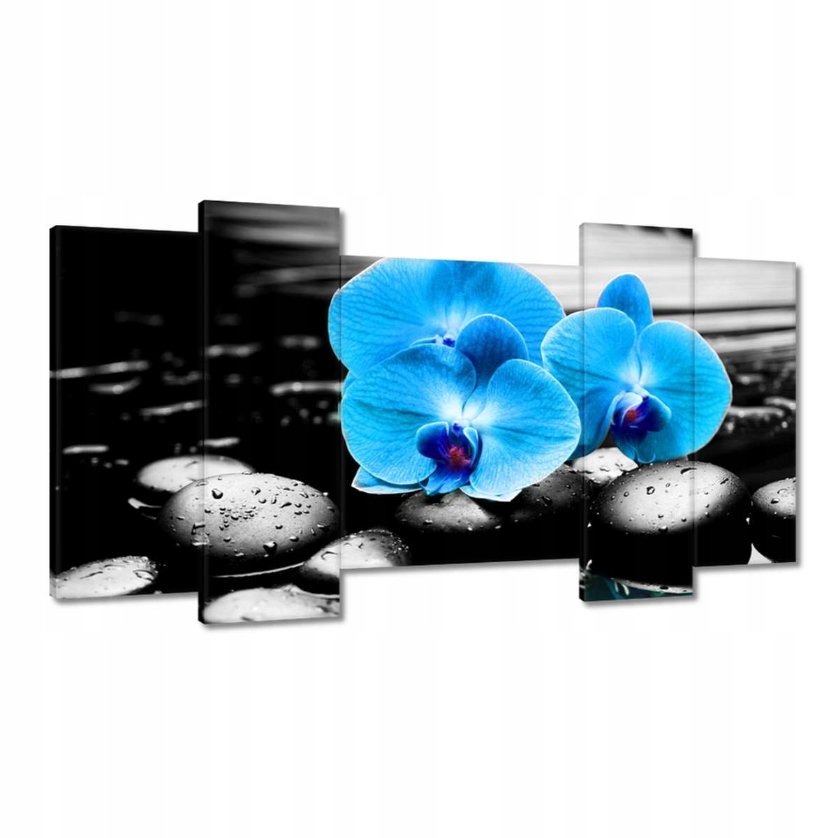 Obrazy 120x65 Modrý orchidej