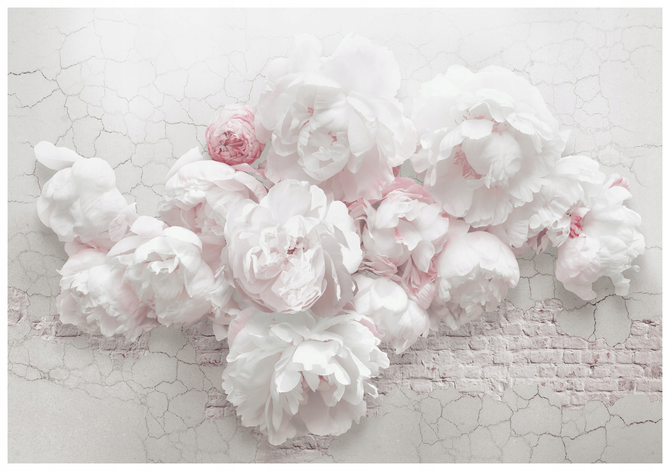 Vliesová fototapeta Pivonky jemný kvetinový dekor 416x254 lepidlo