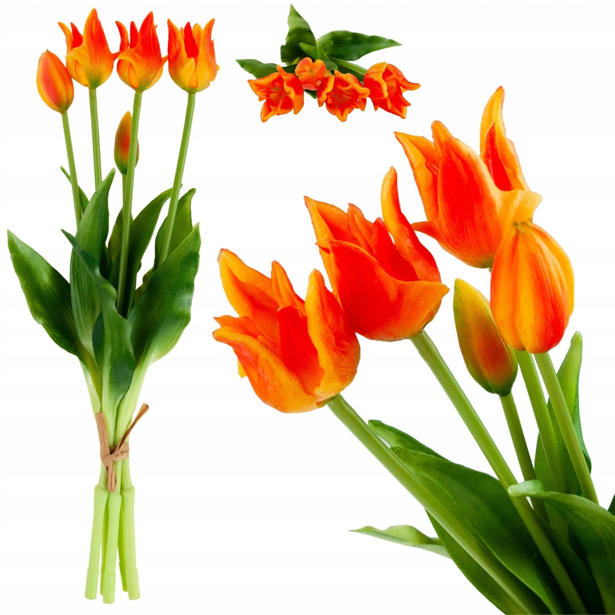 

Tulipany Tulipan Papuzie Bukiet Gumowane Jak Żywe