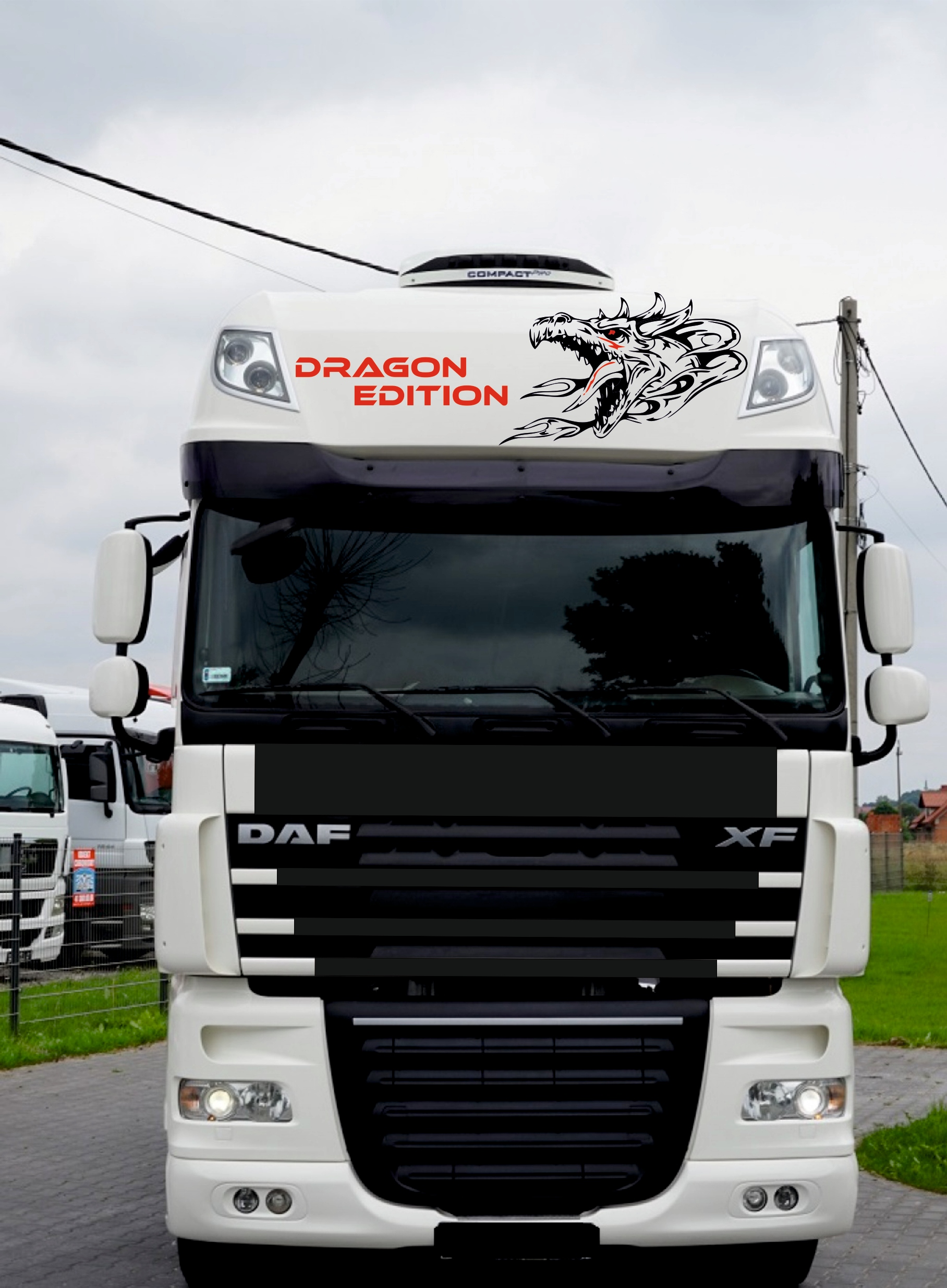 NAKLEJKI DAF 105 106 SSC DRAGON EDITION
