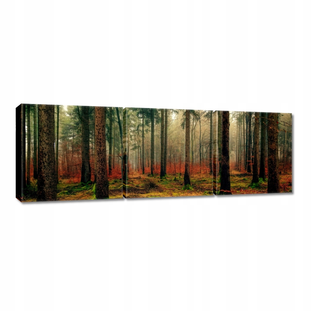 

Obrazy 120x40 Leśny krajobraz Widok