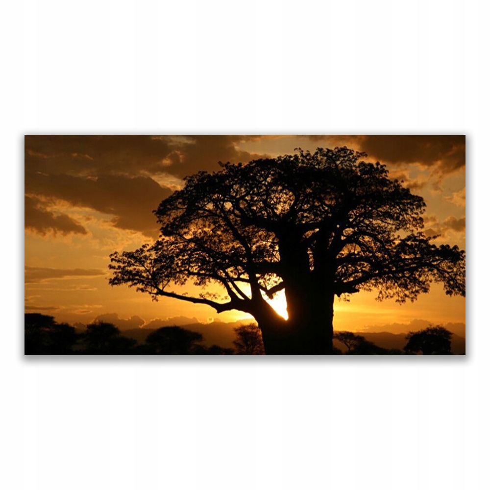 

Obraz nowoczesny z nadrukiem 120x60 Drzewo Natura