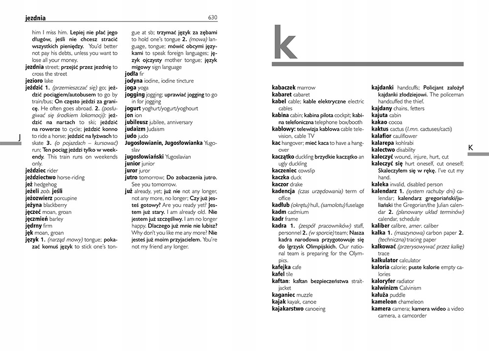 SŁOWNIK ANGIELSKO-POLSKI POLSKO-ANGIELSKI 3w1 BR ISBN 9788375172713