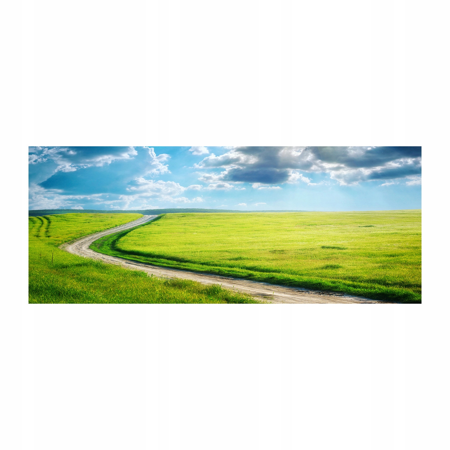 

Foto obraz akryl zdjęcie Ścieżka na łące 125x50 cm