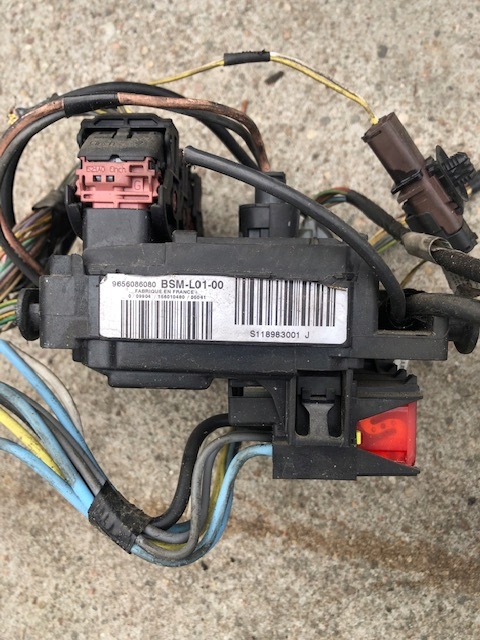 MODUŁ BSM PEUGEOT 407 (2004-2008) 9656086080 L01