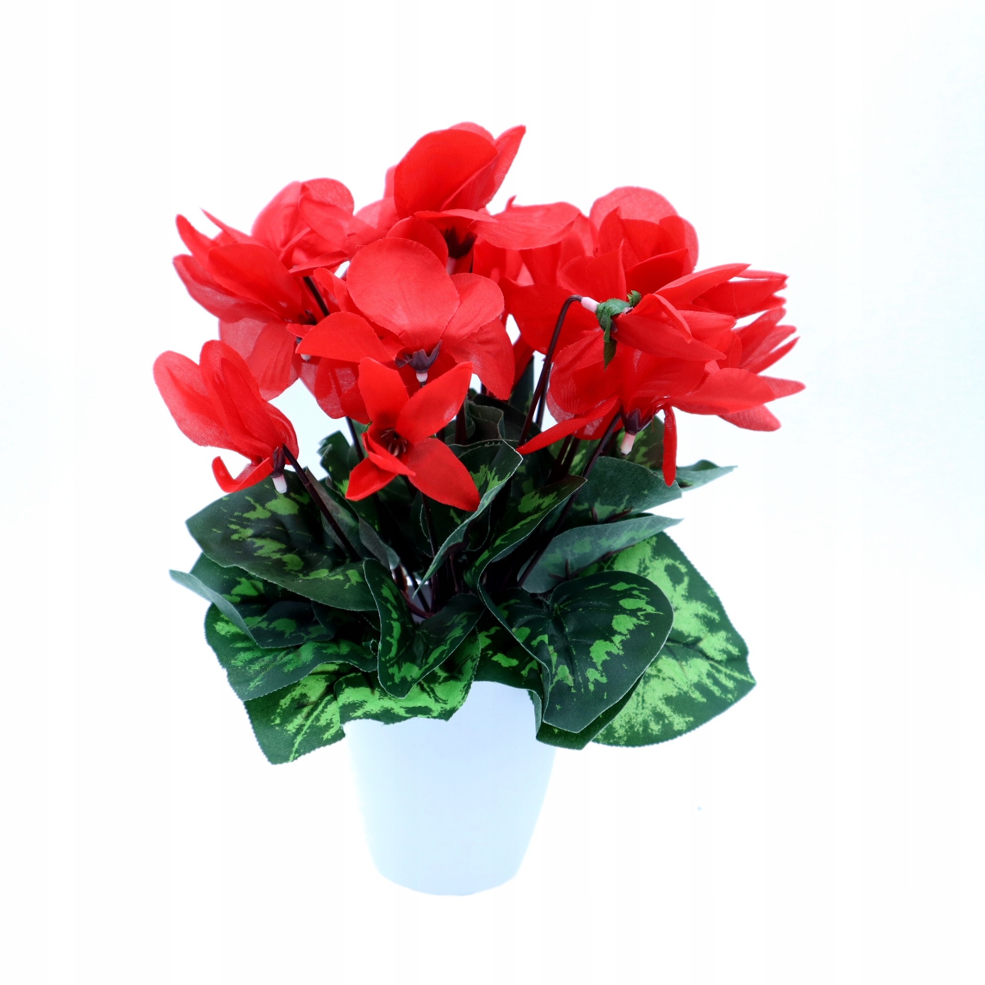 

Sztuczny kwiat Fiołek Alpejski Cyklamen Czerwony