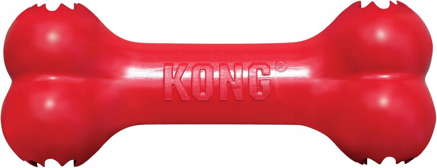 Levně Kong Goodie Bone L 8,5 CM X 21,5 CM Kost pro psy s otvory na pamlsky (KONG10014E)