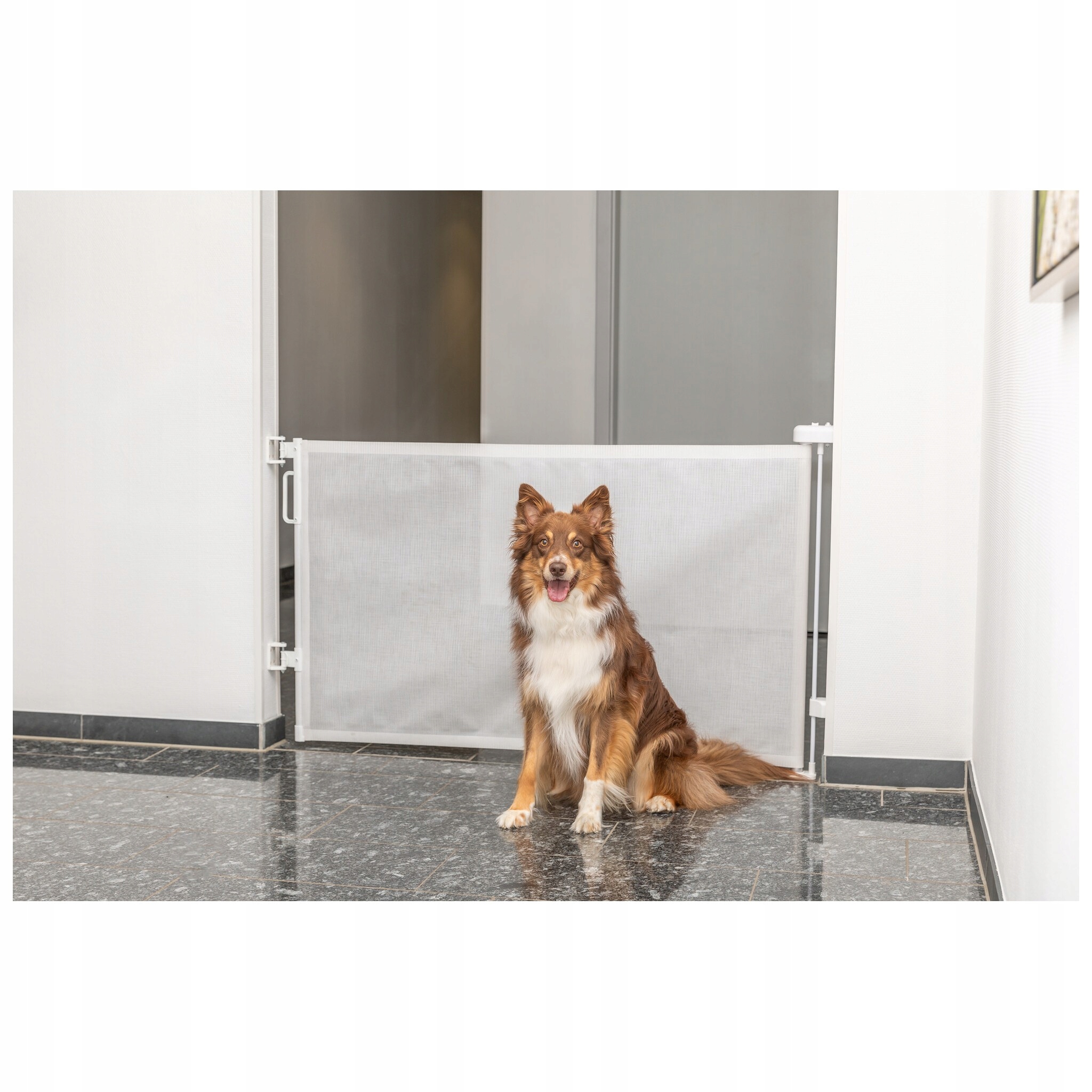 Rolovací zábrana pro psa na rolovacím kolečku 0 až 137 cm × 86 cm