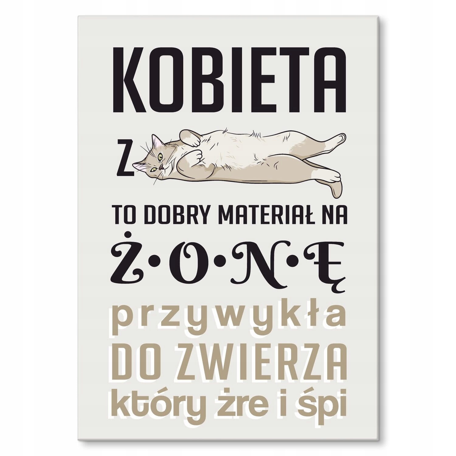 Velký plech velký dárek plakát plakát grafika s nápisem humor manželka Kočka