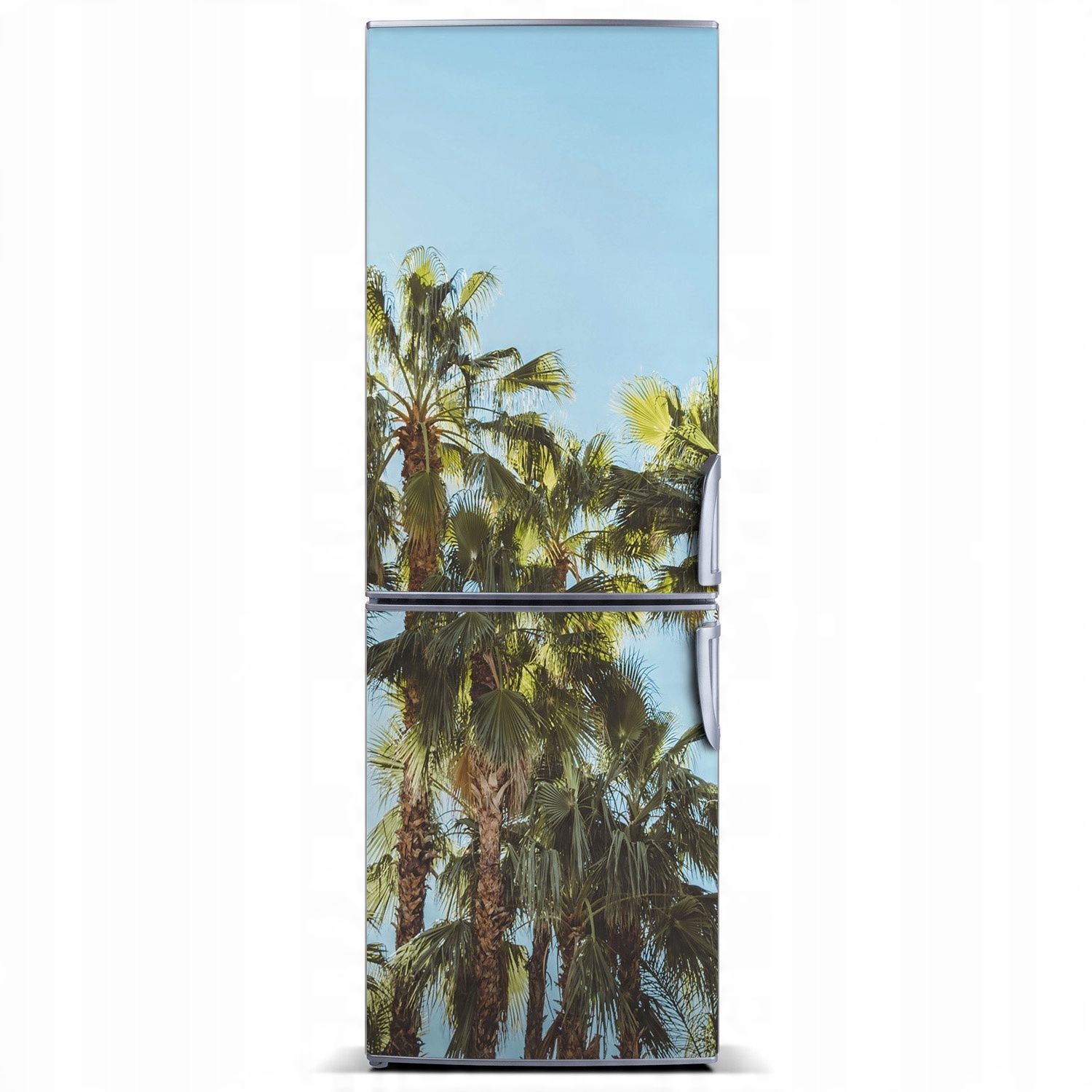

Magnes na lodówkę Krajobrazy Palmy 60x180
