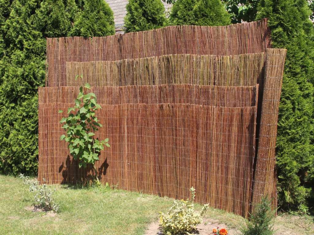 Mata wiklinowa - osłona z wikliny H 100 / 3 mb Rodzaj mata