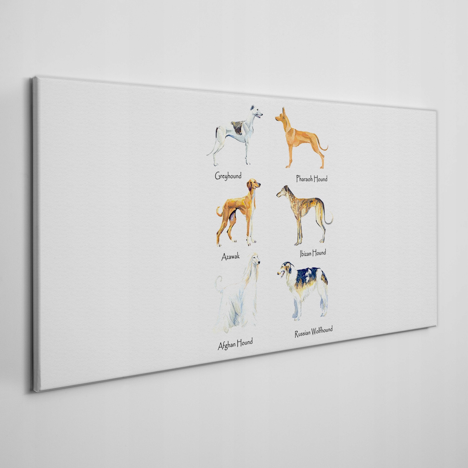 

Foto-obraz na ramie płótno Psy zwierzęta 120x60 cm