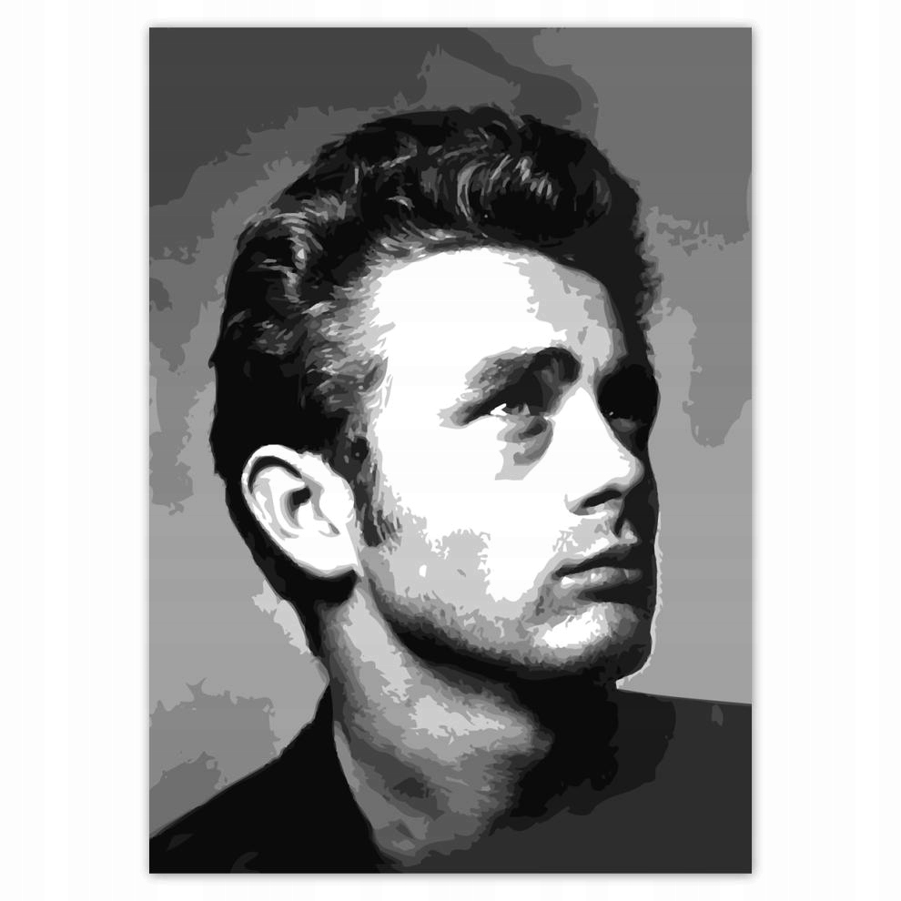 

Naklejki 50x70 Aktor James Dean