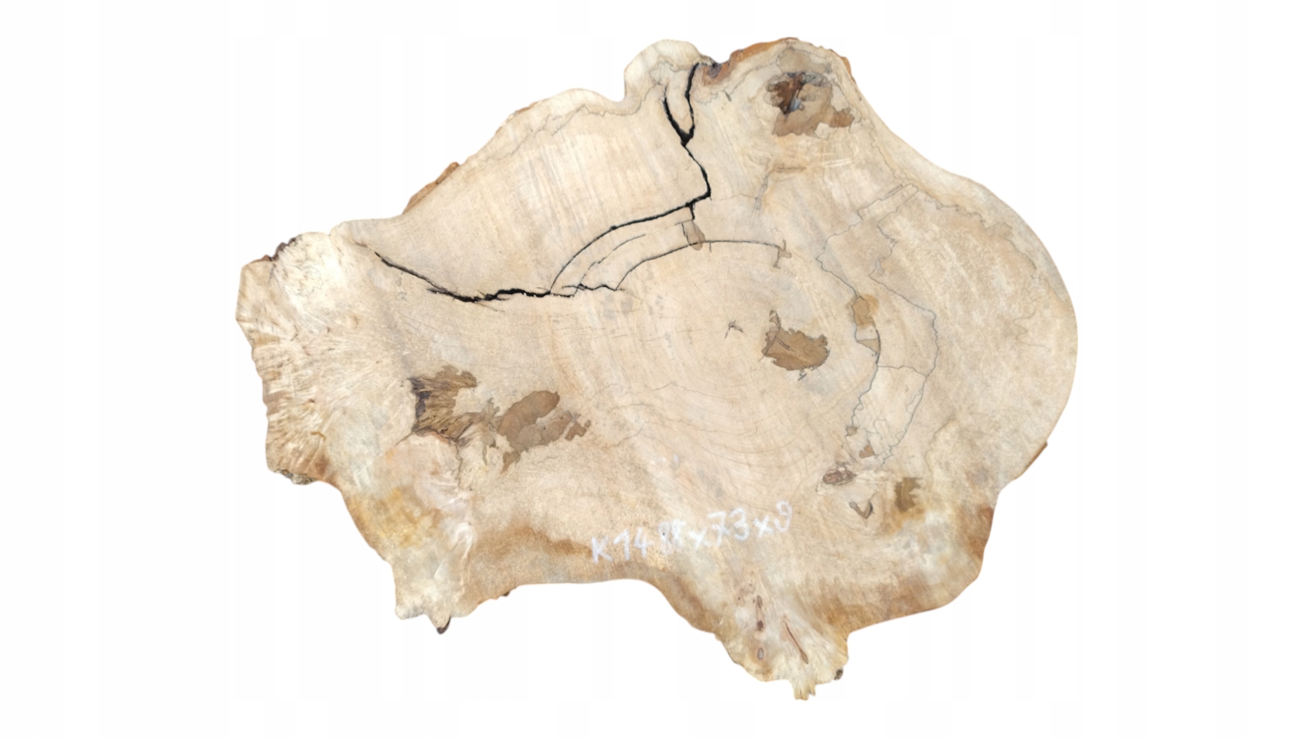 Plaster Drewna Kasztanowiec 88x73x9cm Krążki Tarcica Diy Kasztan