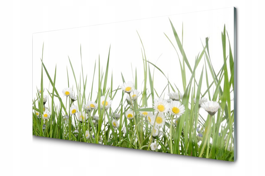 

Panel szklany dekoracyjny Trawa Stokrotki 100x50