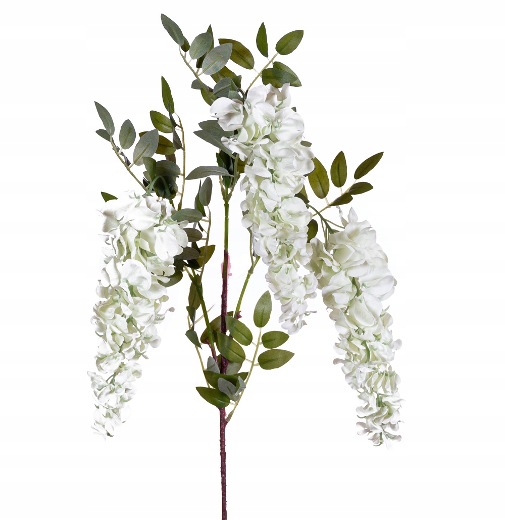

Wisteria 3kwiaty jasno zielona 100cm glicynia