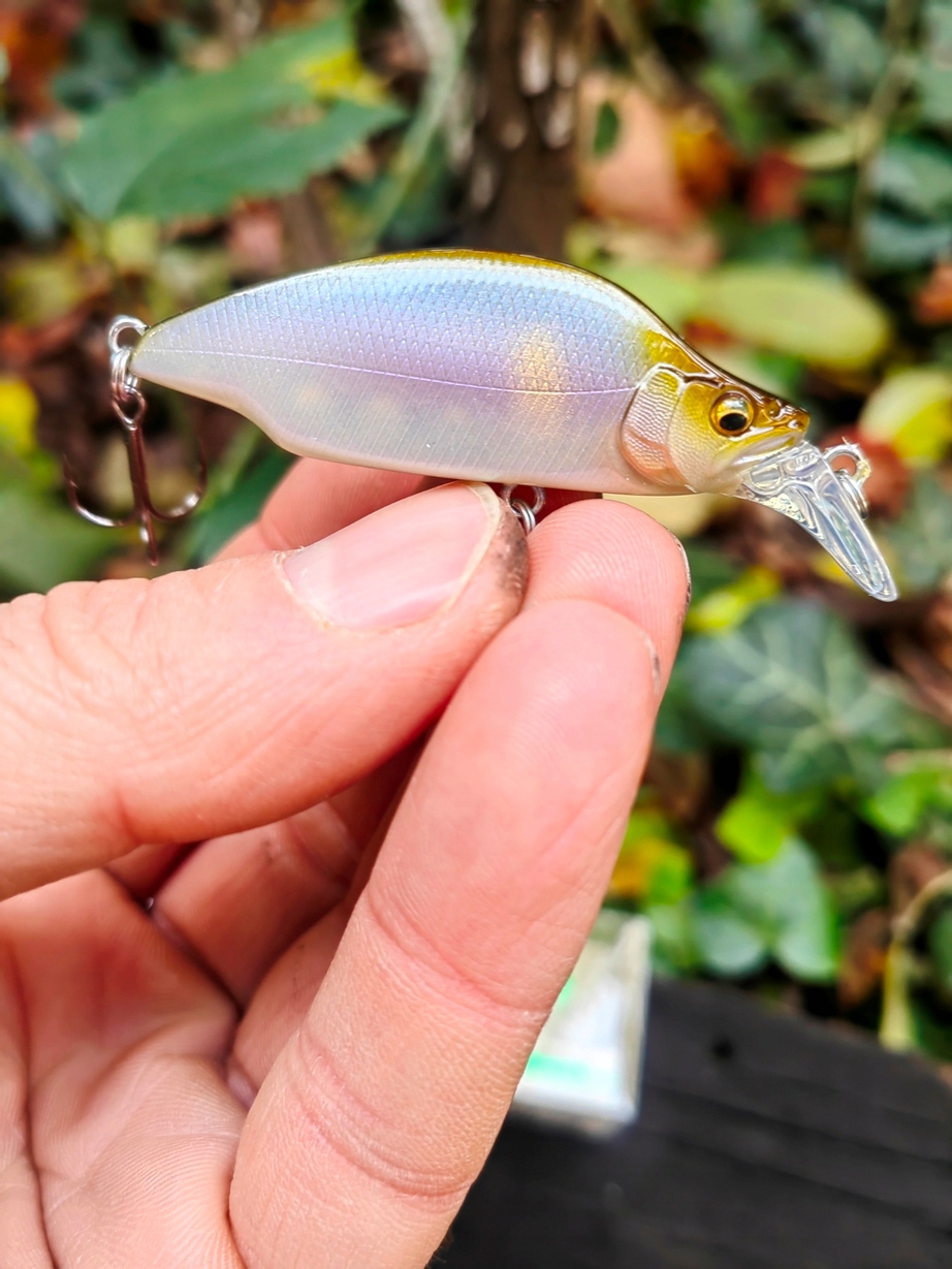 Japoński Wobler Megabass GH52 mm Bat A Fry- 8,5g. Tonący Pm Setsuki Ayu #10
