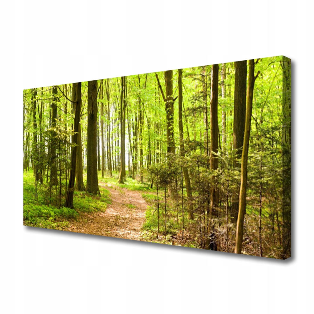 

Obraz na Płótnie Las Ścieżka Natura Foto 140x70