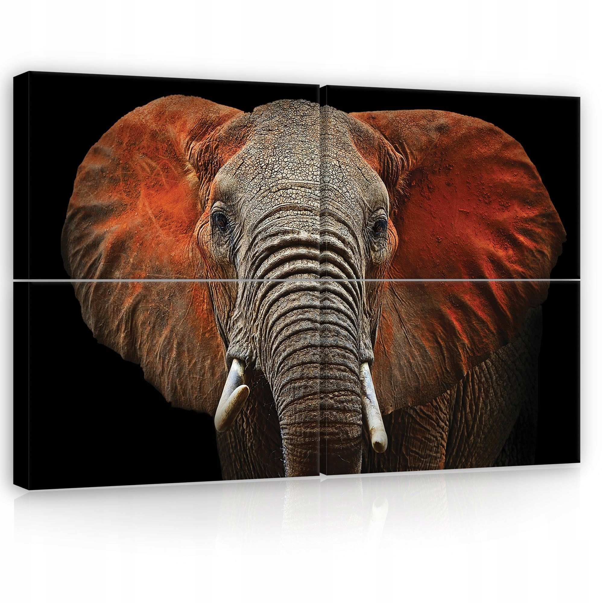 Obraz 120x80 Slon africký portrét zvieraťa Afrika príroda