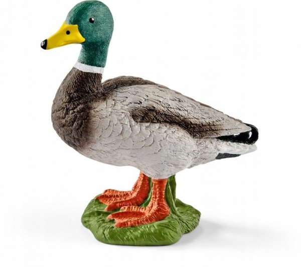 

Kaczor Schleich (13824)