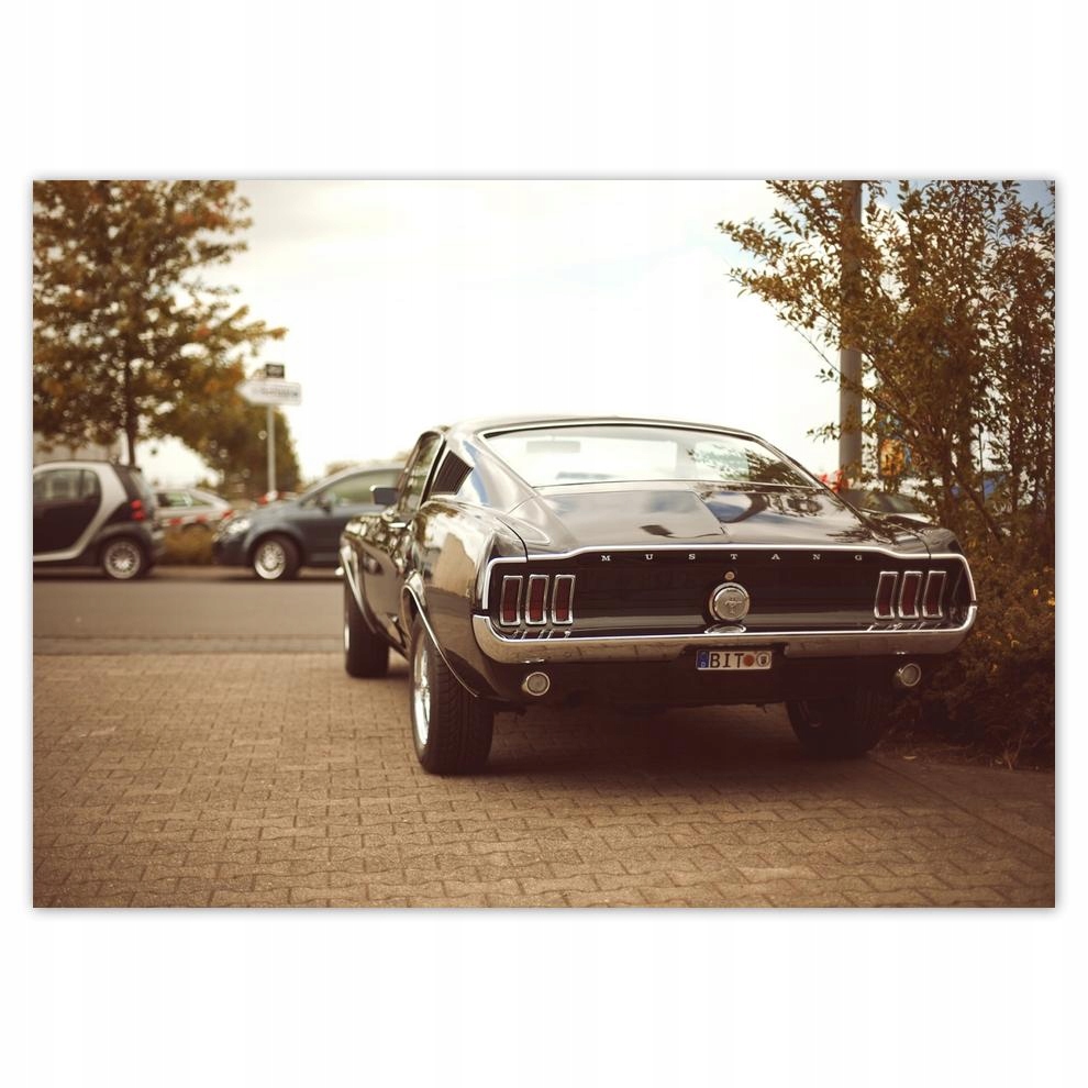 

Naklejki 70x50 Vintage foto Ford Mustang