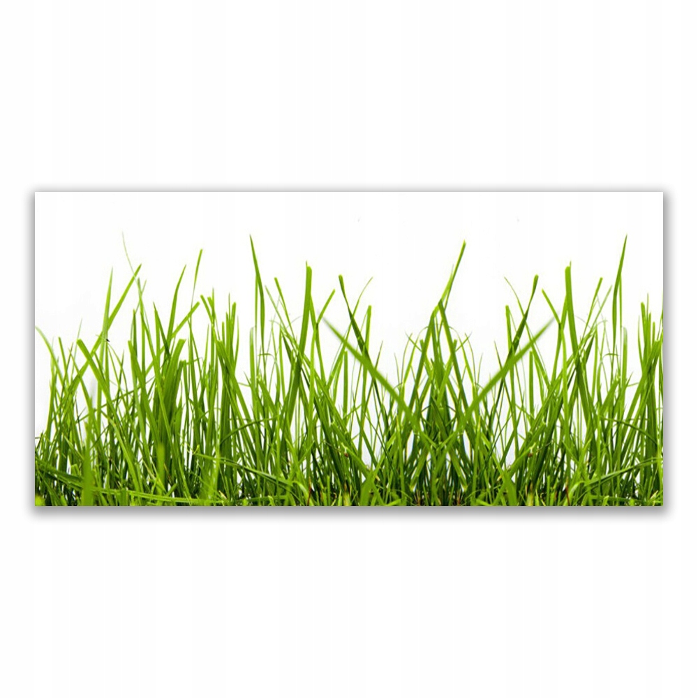 

Obraz akryl wiszący 140x70 Trawa Przyroda Roślina