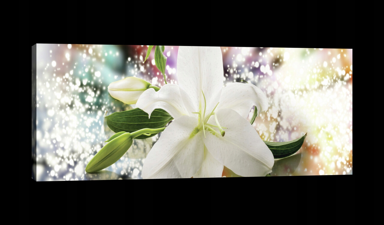 Obraz 145x45 Bílá lilie květ pupen zeleň bokeh světlo čistota