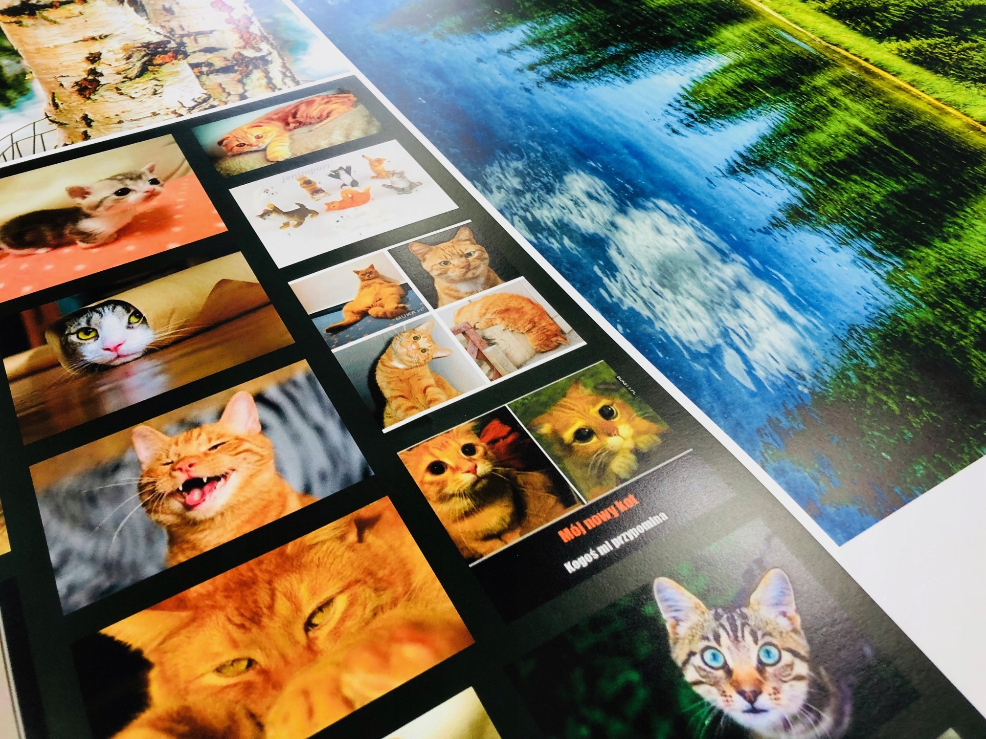 PLAKAT PLAKATY B0 100x140 cm PAPIER 200G KREATOR Format papieru B0