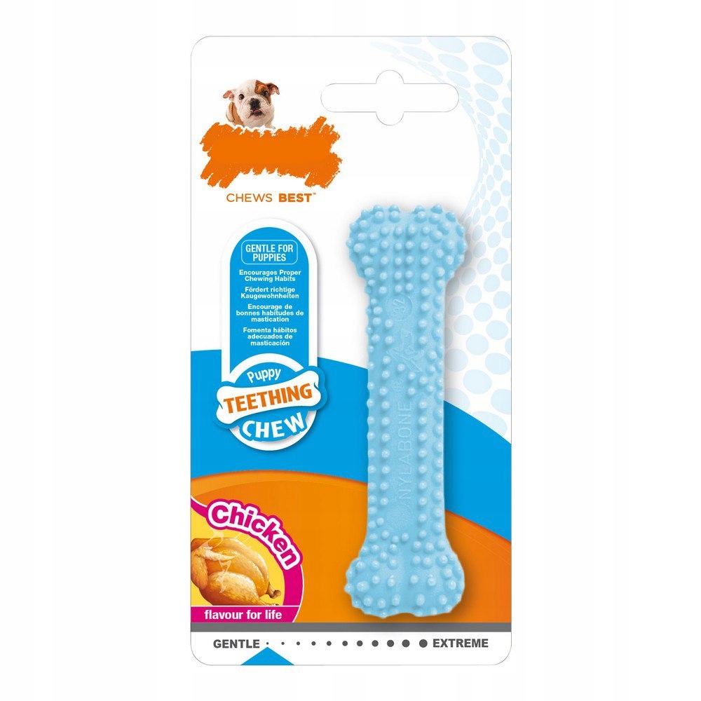 

Gryzak dla psa Nylabone Niebieski kurczak Blue Two