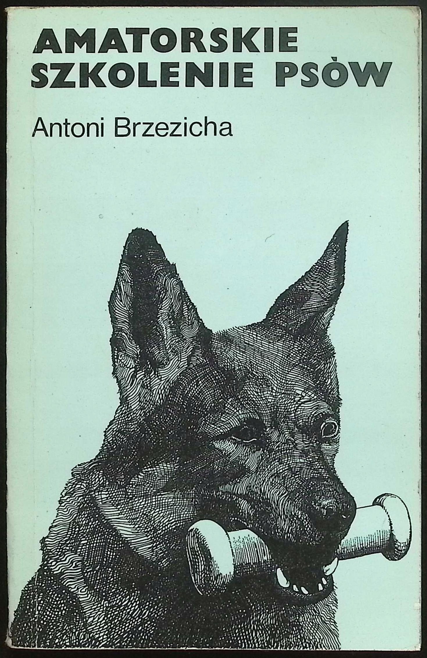 Amatorskie szkolenie psów Antoni Brzezicha