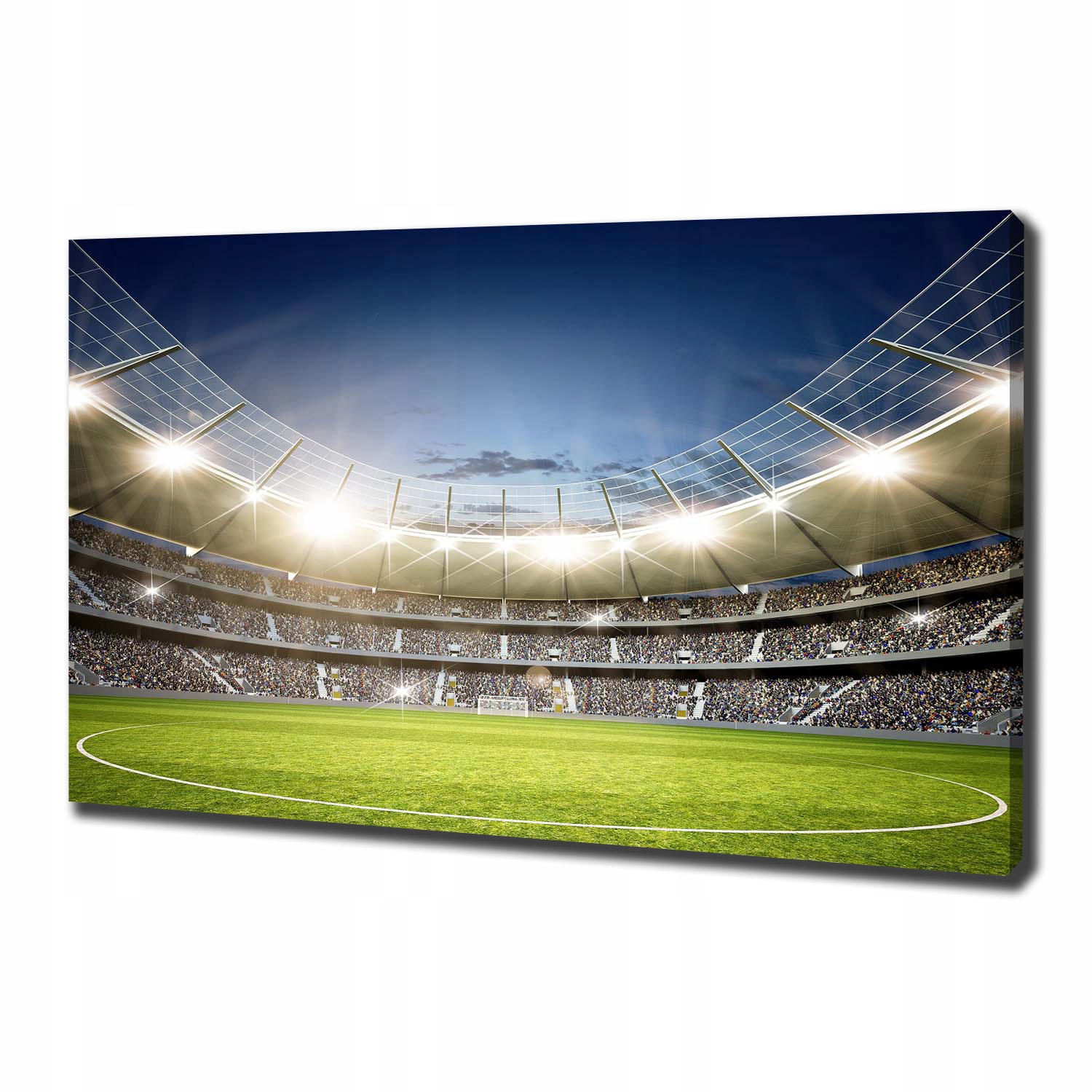 

Foto obraz canvas na ścianę Stadion 100x70 cm