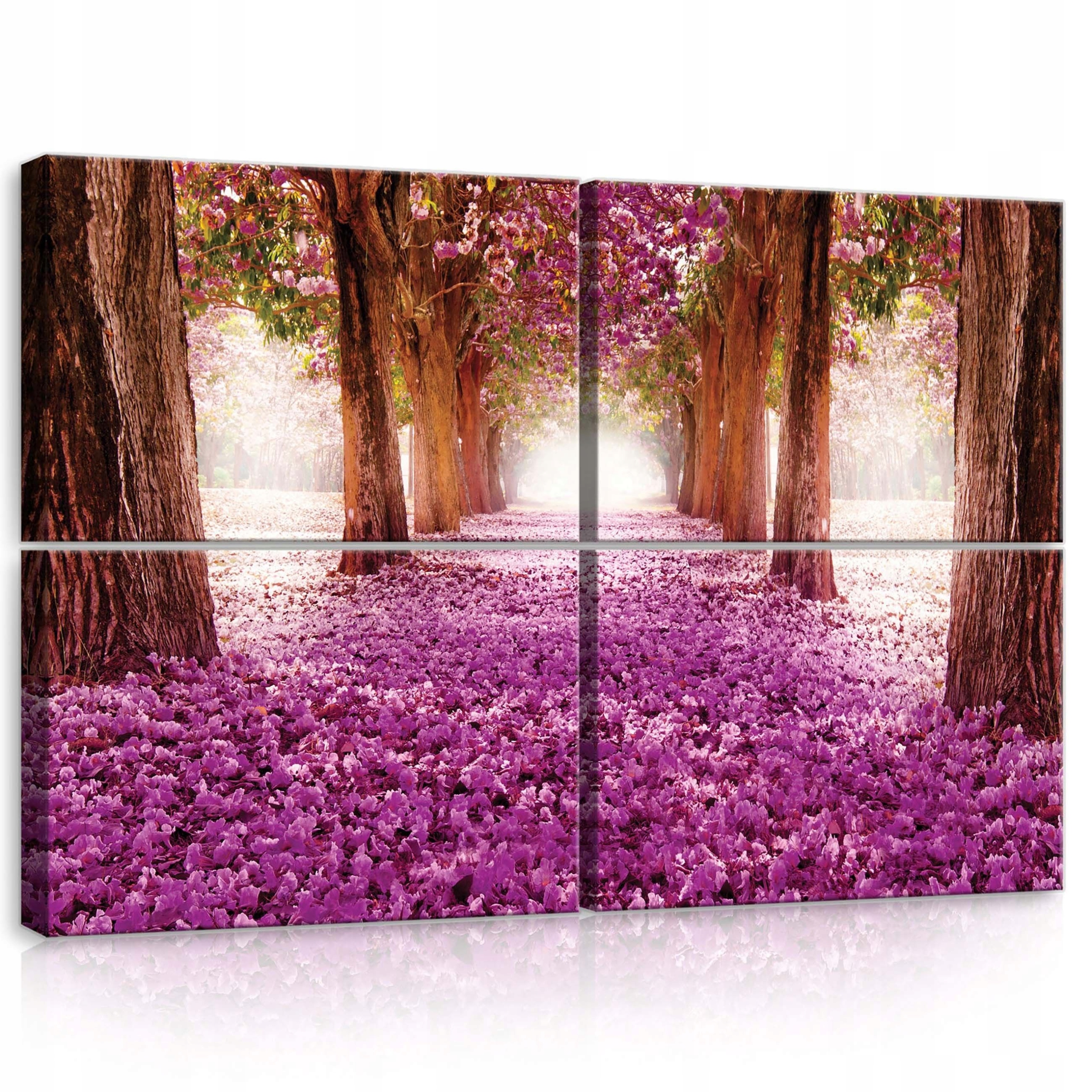 Obraz 120x80 Kvetinová aleja kvitnúca aleja fialové okvetné lístky ružové kvety