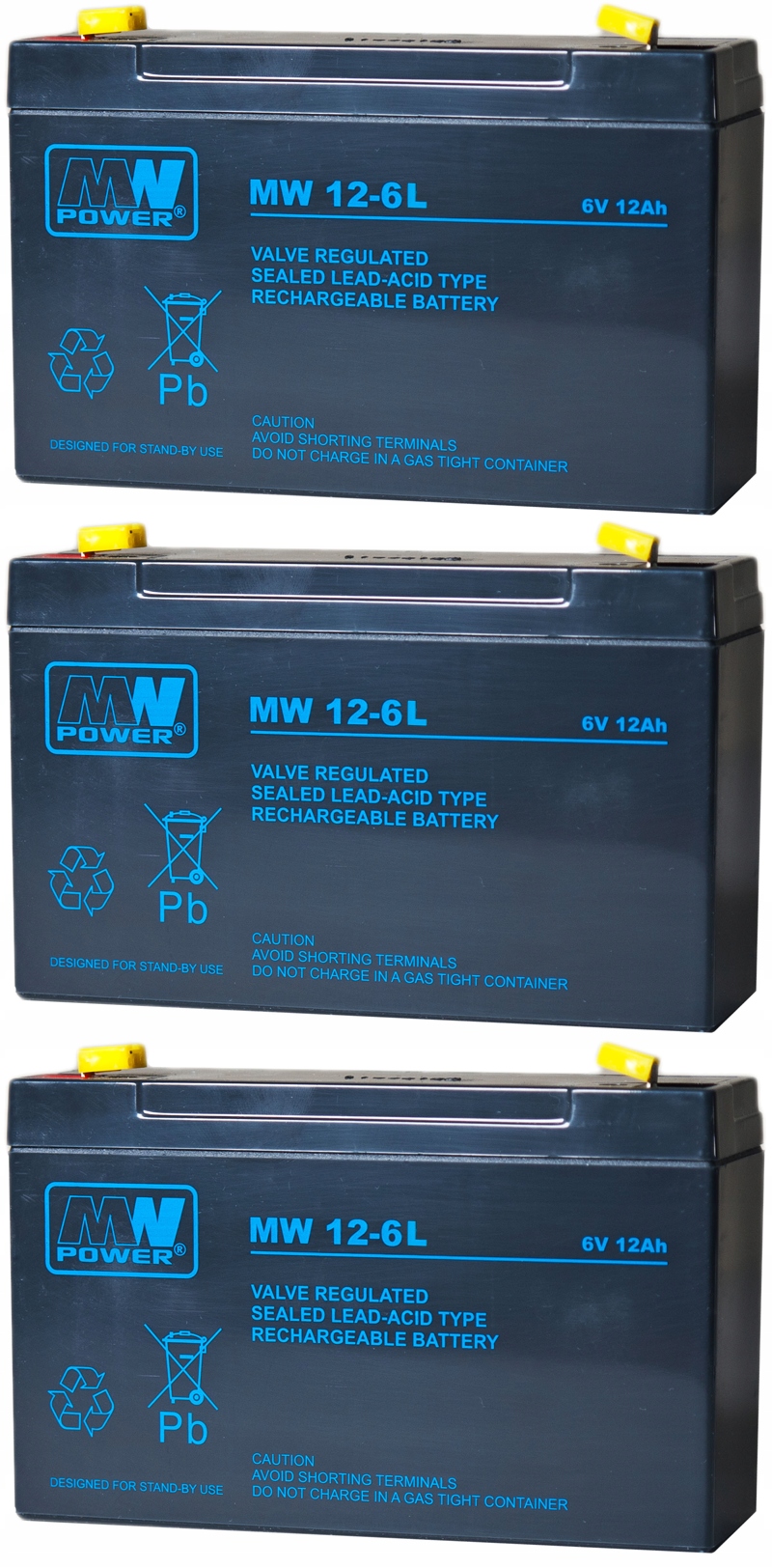 RBCAP2 Zestaw Akumulatorów Do Ups Apc 3x Mw 12-6L