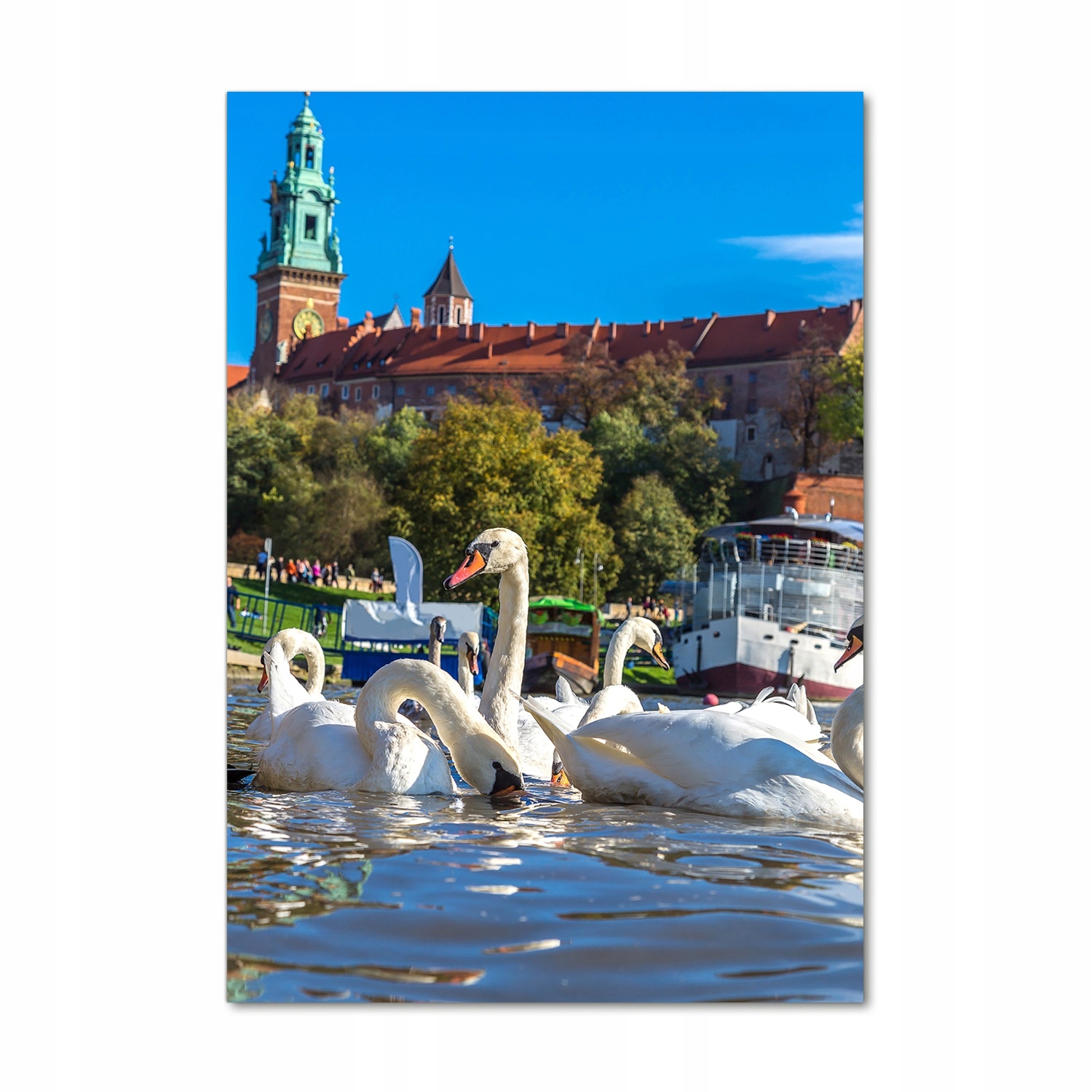 

Foto obraz szkło hartowane Kraków Polska 70x100 cm