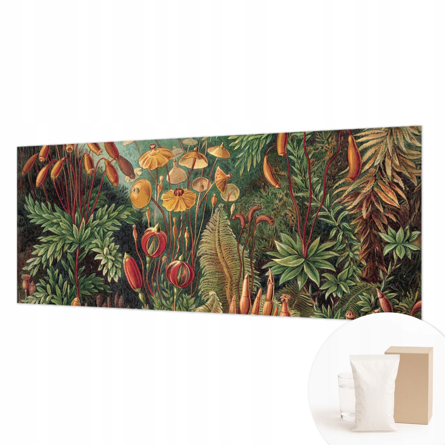 Flizelinová fototapeta do dětského pokoje lepidlo Exotická zahrada 250 x 104 cm