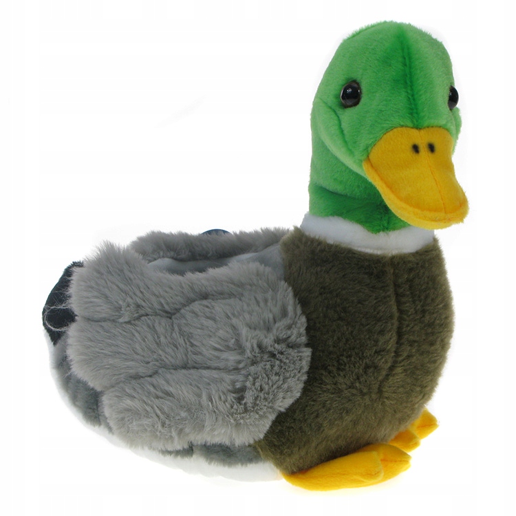 

Zoo: maskotka Kaczka Krzyżówka 26cm (05812)