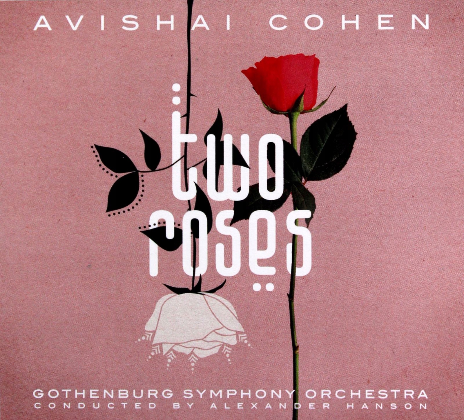 

Avishai Cohen: Two Roses (CD)