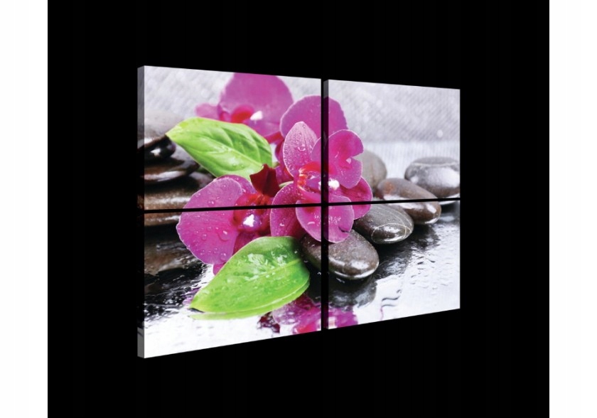 Obraz 120x80 Orchidea kamene kúpele zen relax harmónia príroda dekor