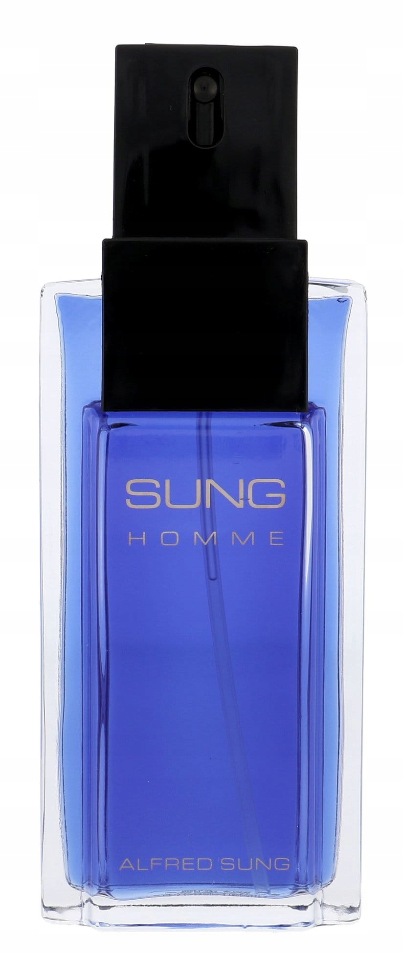 Alfred Sung Homme Toaletní voda 100 ml