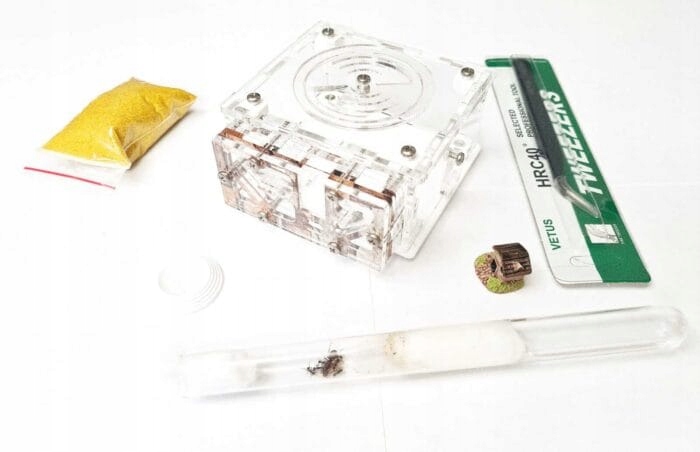 Levně Sada Diamond pro chov mravenců z formikária Vzdělávací sada