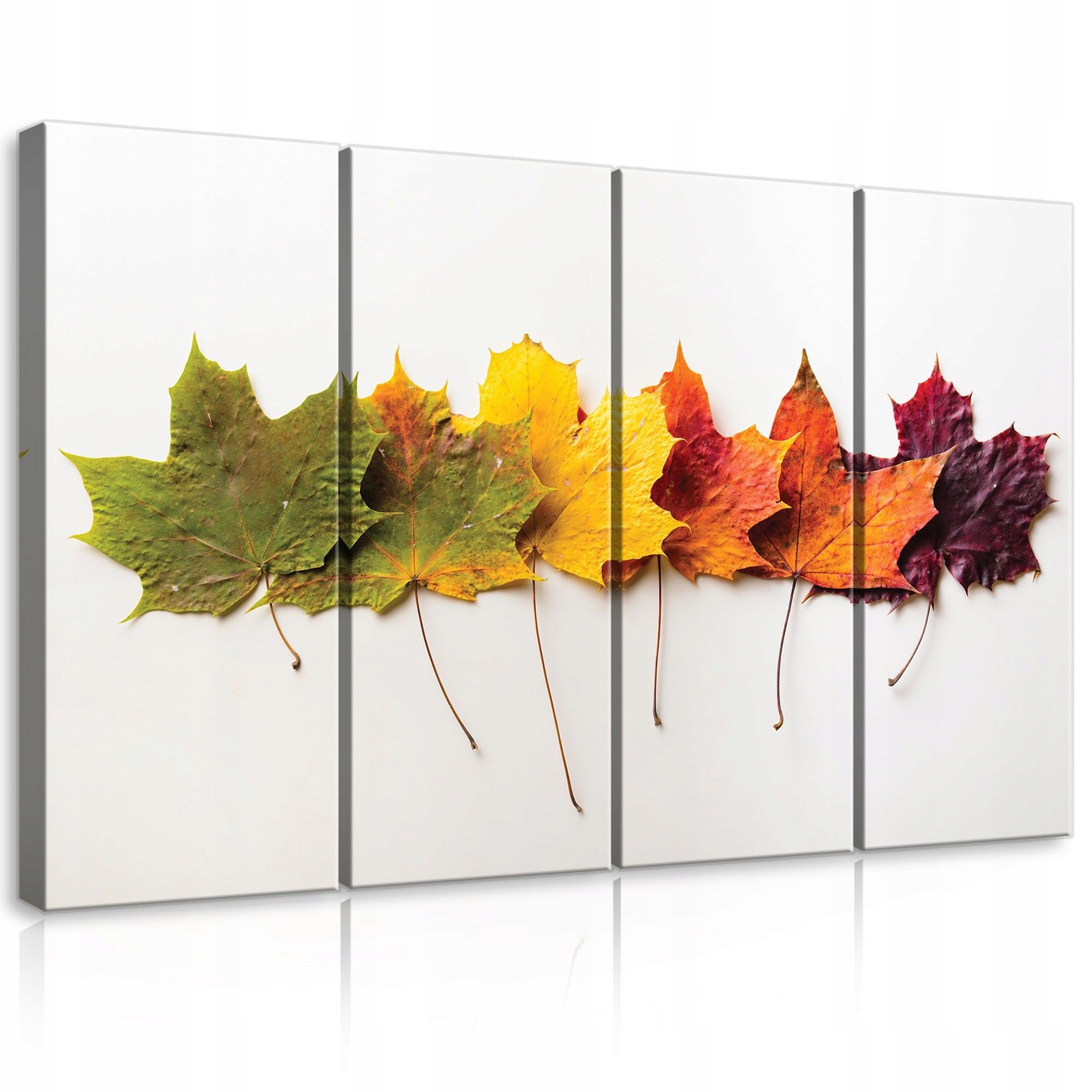 Obraz 120x80 Jeseň listy javora príroda teplo útulnosť gradient farieb