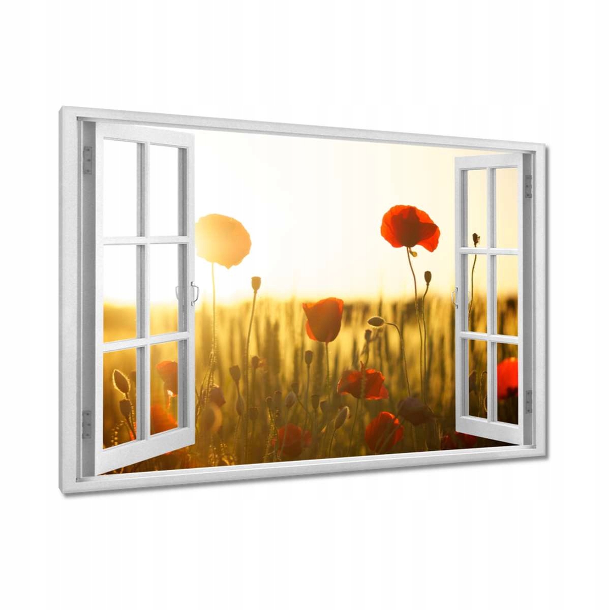 Obrazy 120x80 Maki při východu slunce