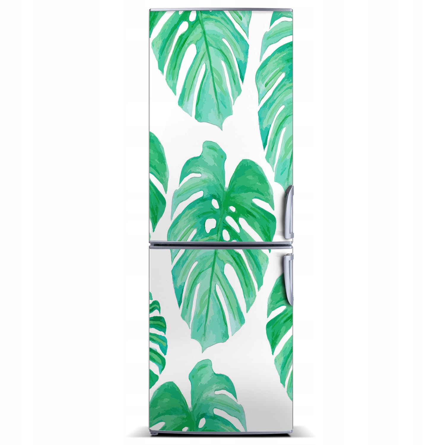 

Magnes fototapety na lodówkę Monstera 60x180
