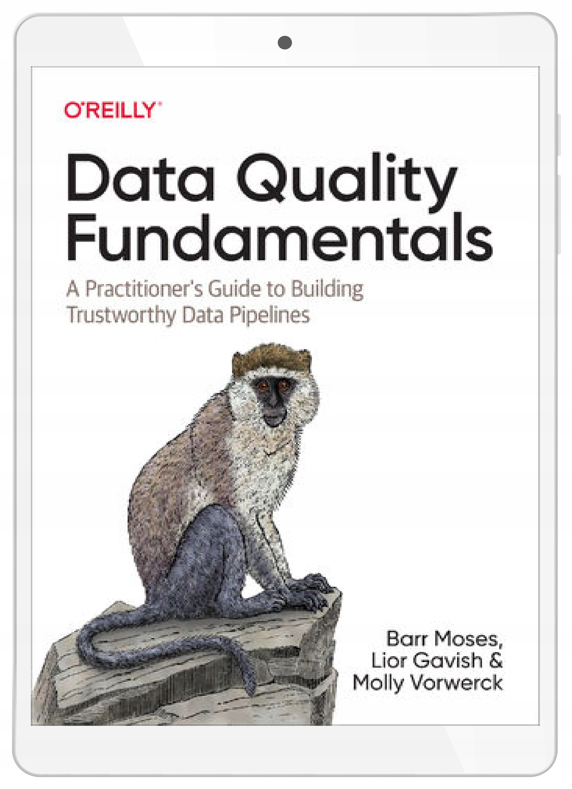 Data Quality Fundamentals
