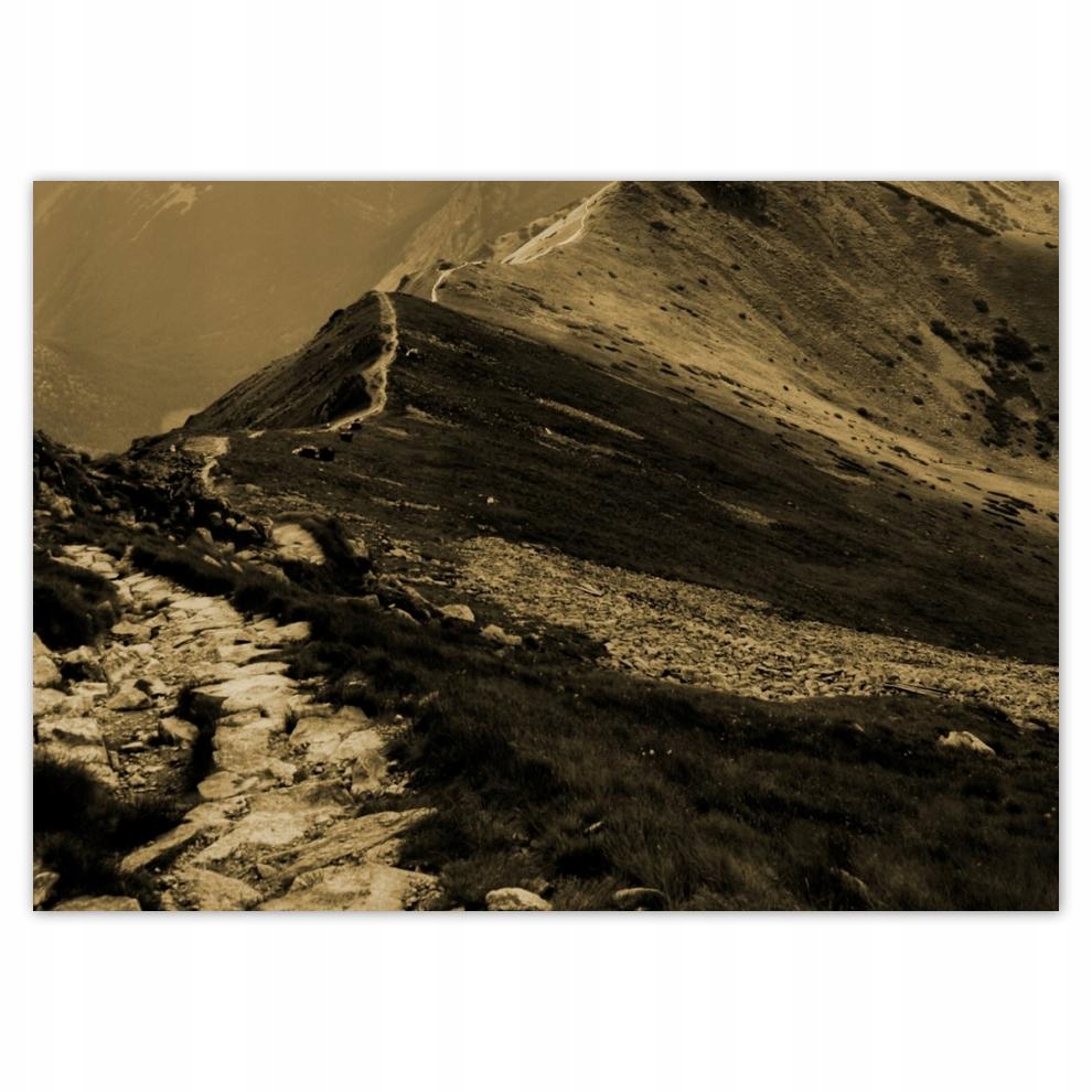 

Naklejki 70x50 Tatry Polskie góry Widok